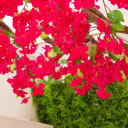 Apartman Vivaldo Fuoro Leucosia - Boutique In The Heart Of Sorrento